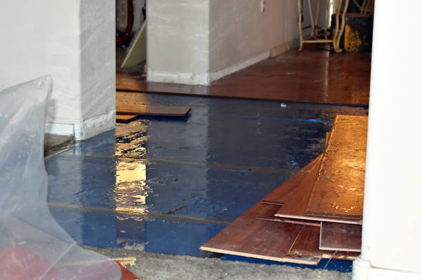 Professional Basement Water Removal technician working in West Unity, OH